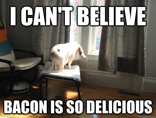 I can't believe bacon is so delicious - I can't believe bacon is so delicious  Regret Pig