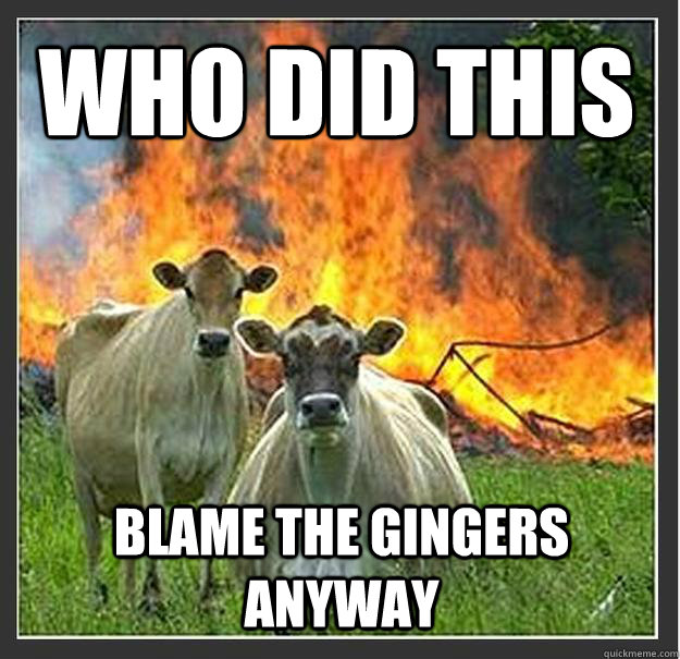 who did this blame the gingers anyway  Evil cows