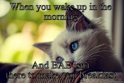 Missing BAE - WHEN YOU WAKE UP IN THE MORNING AND BAE ISN'T THERE TO MAKE YOU BREAKFAST First World Problems Cat