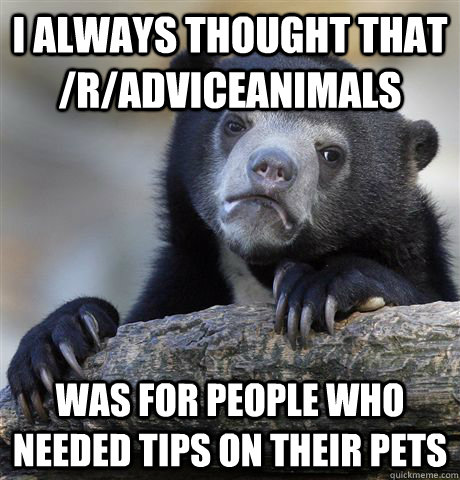 I always thought that /r/adviceanimals was for people who needed tips on their pets  Confession Bear