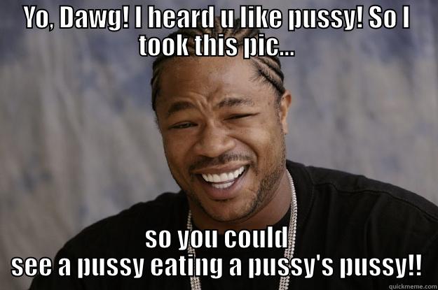 Pussy, pussy, pussy - YO, DAWG! I HEARD U LIKE PUSSY! SO I TOOK THIS PIC... SO YOU COULD SEE A PUSSY EATING A PUSSY'S PUSSY!! Xzibit meme