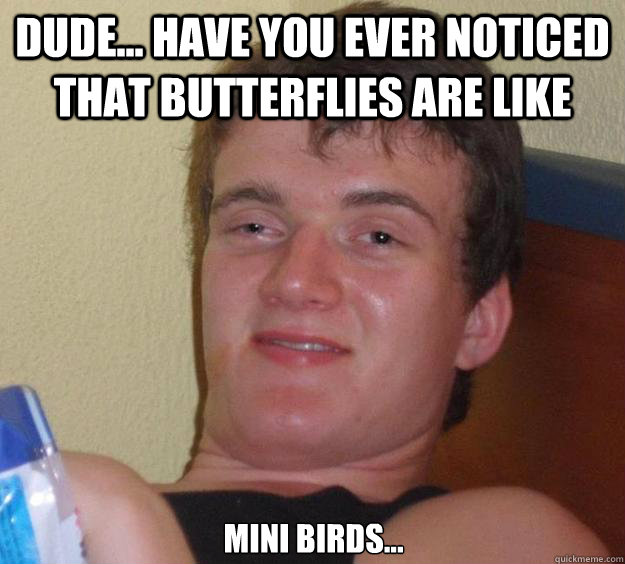 Dude Have You Ever Noticed That Butterflies Are Like Mini Birds 10 Guy Quickmeme