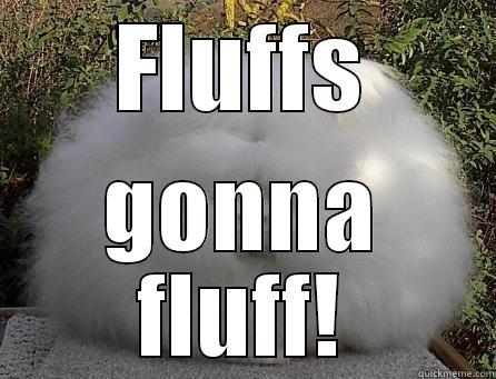 FLUFFS GONNA FLUFF! Misc