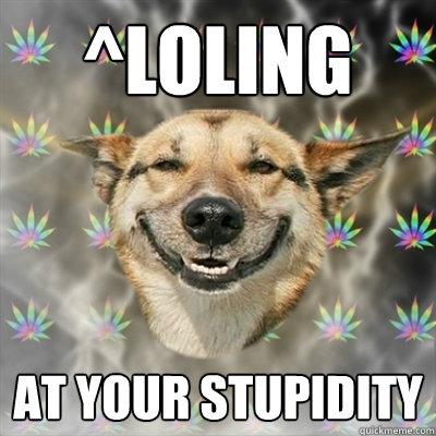 ^LOLING  AT YOUR STUPIDITY  Stoner Dog