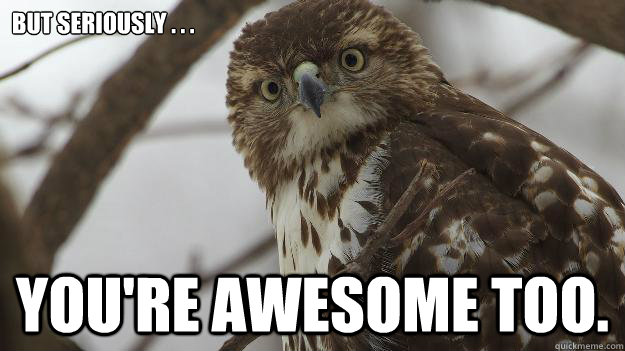 But seriously . . .  You're awesome too. - But seriously . . .  You're awesome too.  Hey owl