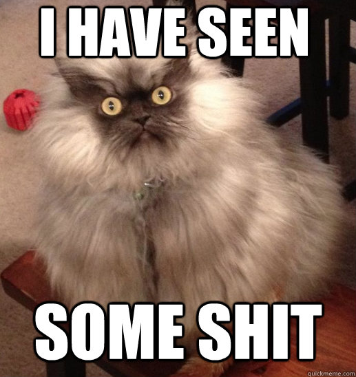 I have seen  some shit   Colonel Meow