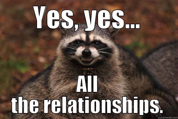 YES, YES... ALL THE RELATIONSHIPS. Evil Plotting Raccoon