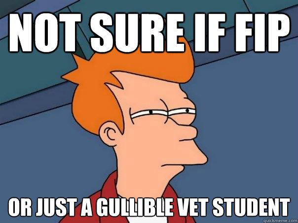 Not sure if FIP Or just a gullible vet student  Futurama Fry