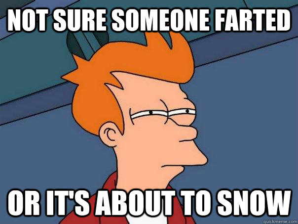 Not sure someone farted Or it's about to snow  Futurama Fry