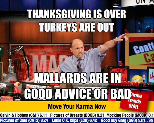 thanksgiving is over
turkeys are out mallards are in
good advice or bad - thanksgiving is over
turkeys are out mallards are in
good advice or bad  Mad Karma with Jim Cramer