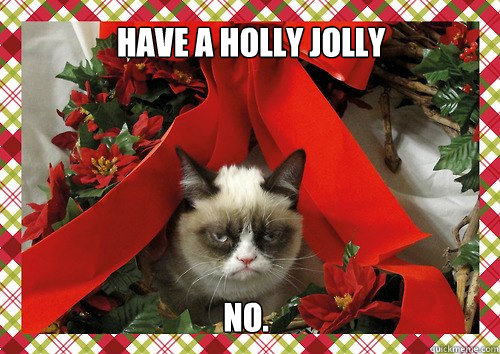 Have a Holly Jolly  No.  A Grumpy Cat Christmas