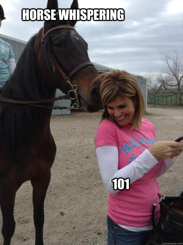 Horse whispering 101  Horse whispering