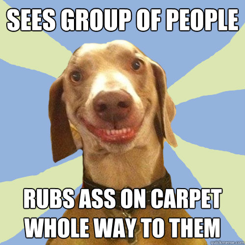 Sees group of people Rubs ass on carpet whole way to them  Disgusting Doggy