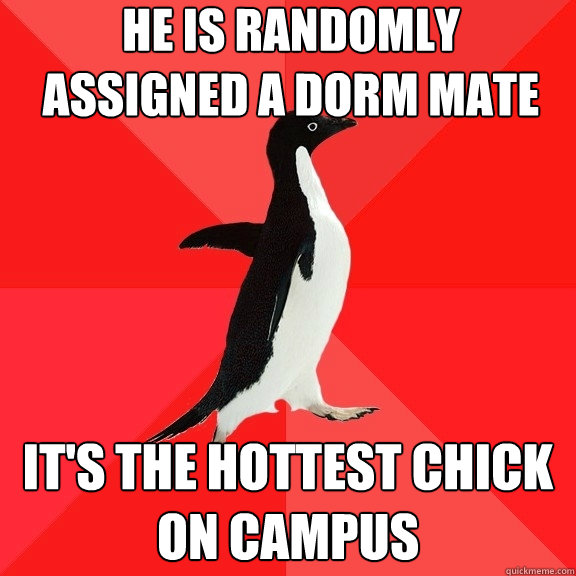 He is randomly assigned a dorm mate It's the Hottest chick on campus  Socially Awesome Penguin