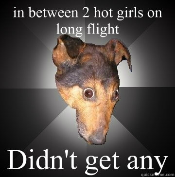 in between 2 hot girls on long flight Didn't get any - in between 2 hot girls on long flight Didn't get any  Depression Dog