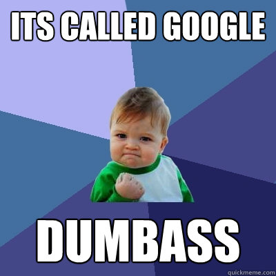 ITS Called Google Dumbass  Success Kid