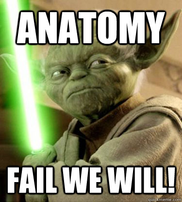 ANATOMY FAIL WE WILL!  Yoda