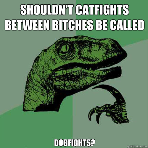 shouldn't catfights between bitches be called dogfights?  Philosoraptor