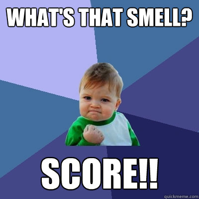 What's that smell? score!!  Success Kid