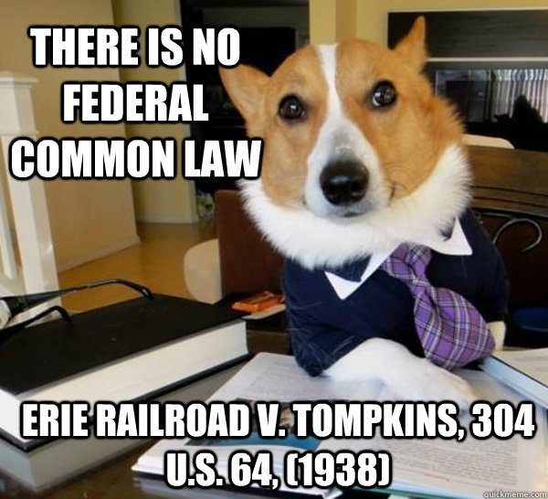 there is no federal common law Erie railroad v. tompkins, 304 U.S. 64, (1938)  Lawyer Dog