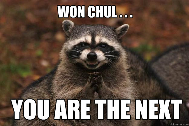 WON CHUL . . .  YOU ARE THE NEXT - WON CHUL . . .  YOU ARE THE NEXT  Evil Plotting Raccoon