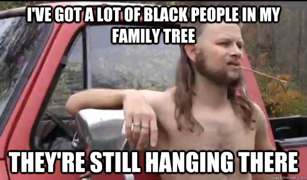 I've got a lot of black people in my family tree They're still hanging there  Almost Politically Correct Redneck