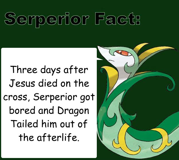 Three days after Jesus died on the cross, Serperior got bored and Dragon Tailed him out of the afterlife. - Three days after Jesus died on the cross, Serperior got bored and Dragon Tailed him out of the afterlife.  Serperior Facts