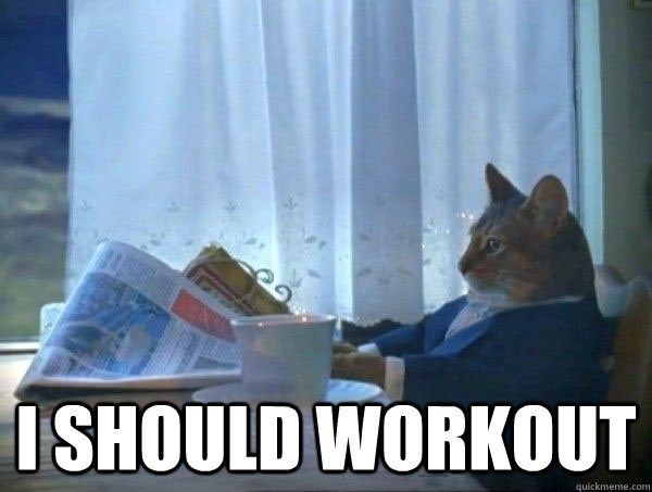  I should workout  -  I should workout   morning realization newspaper cat meme