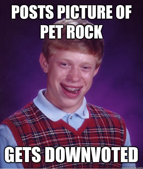 Posts picture of pet rock Gets downvoted - Posts picture of pet rock Gets downvoted  Bad Luck Brian