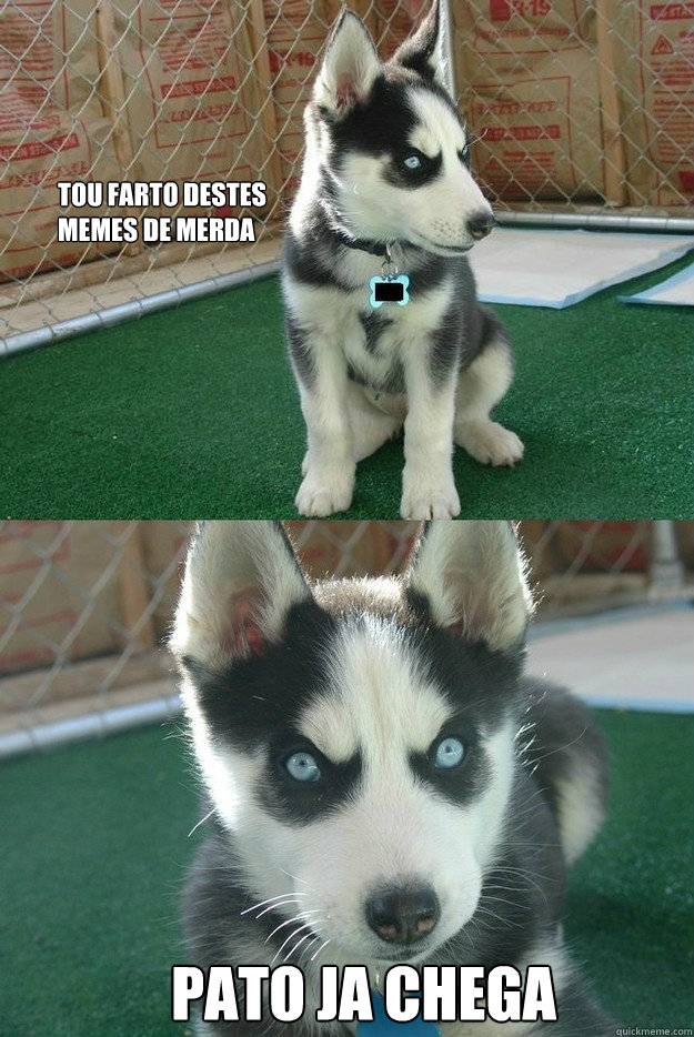 Tou farto destes memes de merda pato ja chega  Insanity puppy