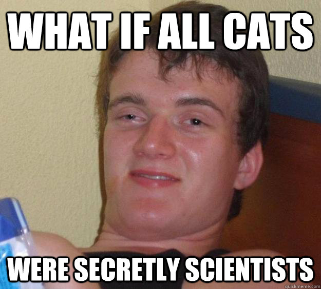 What if all cats were secretly scientists  10 Guy