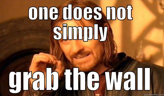 ONE DOES NOT SIMPLY GRAB THE WALL One Does Not Simply