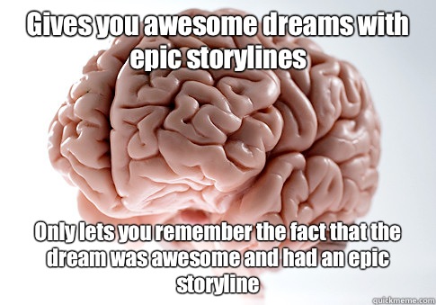 Gives you awesome dreams with epic storylines Only lets you remember the fact that the dream was awesome and had an epic storyline  Scumbag Brain