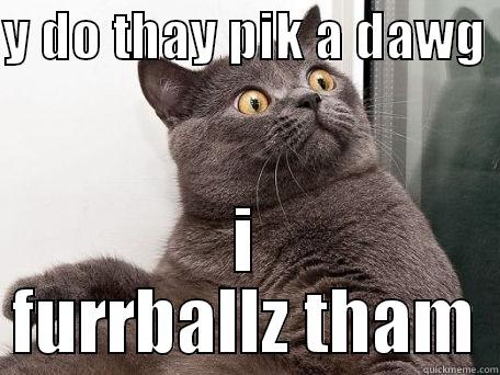 Y DO THAY PIK A DAWG  I FURRBALLZ THAM conspiracy cat