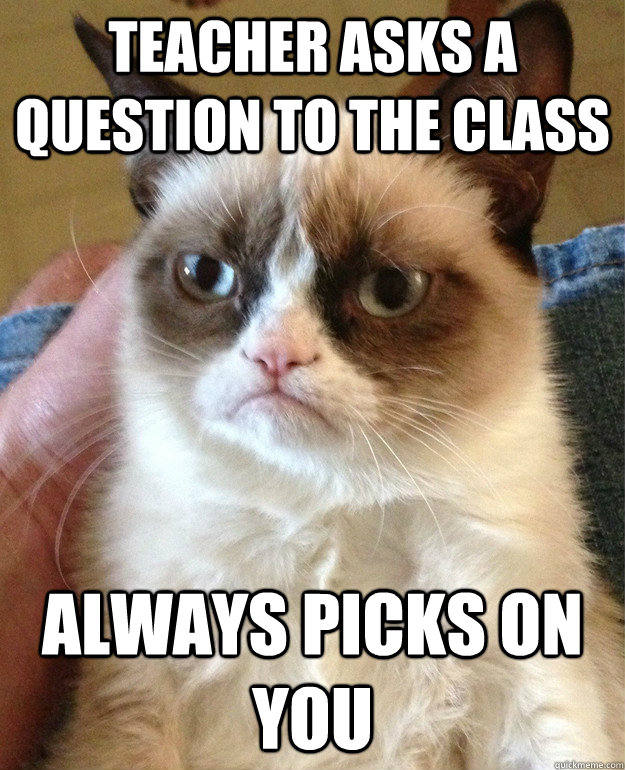 teacher asks a question to the class  always picks on you  Grumpy Cat