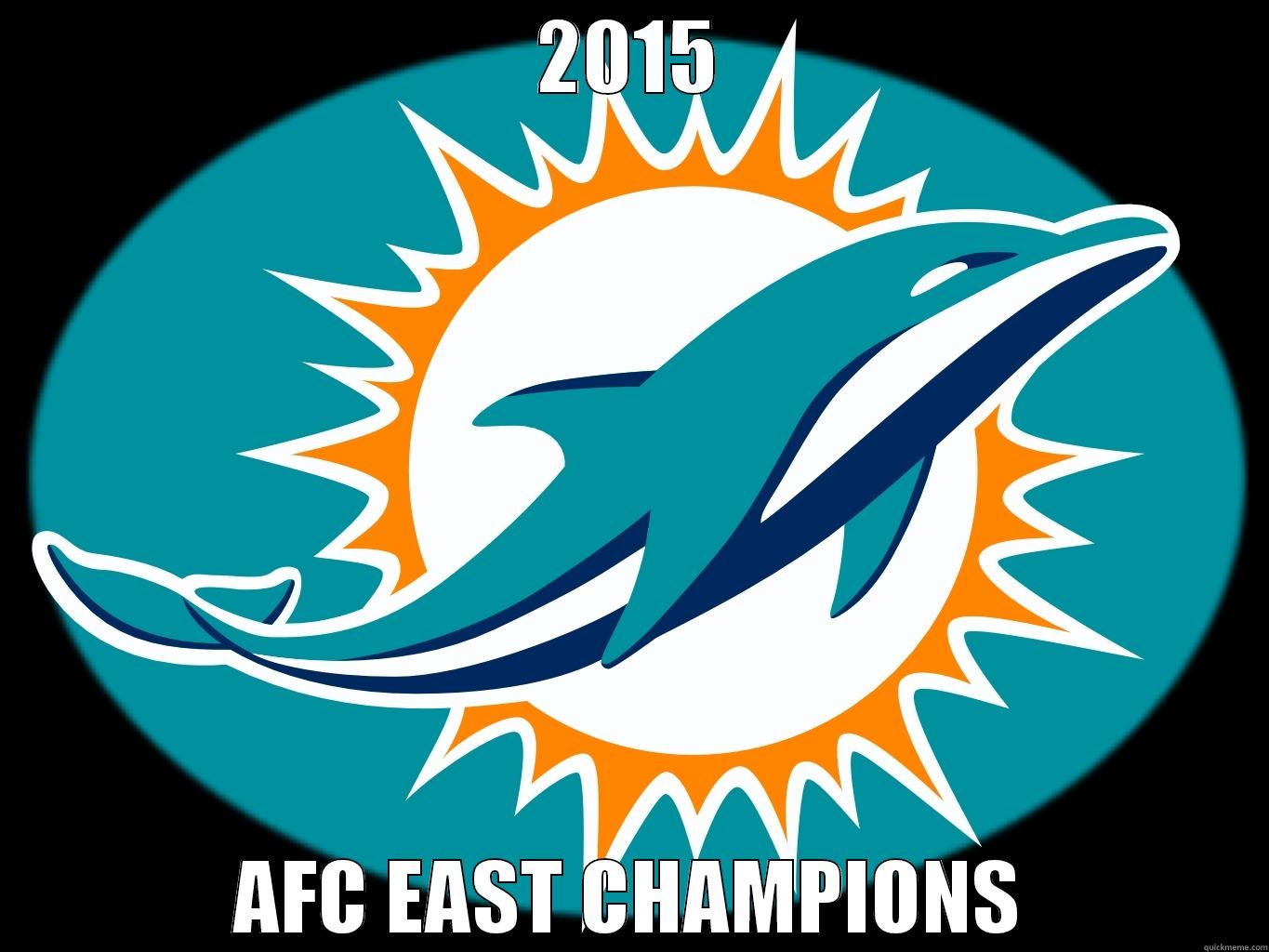 2015 AFC EAST CHAMPIONS Misc