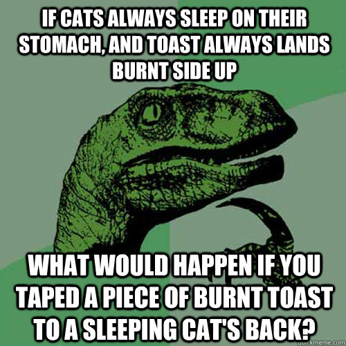 If cats always sleep on their stomach, and toast always lands burnt side up What would happen if you taped a piece of burnt toast to a sleeping cat's back?  Philosoraptor