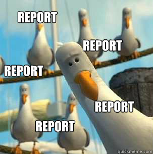 Report report report report report - Report report report report report  seagulls