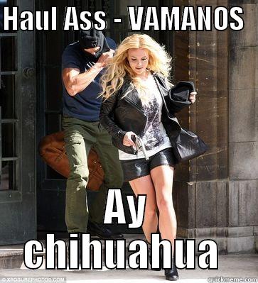 HAUL ASS - VAMANOS   AY CHIHUAHUA  Misc