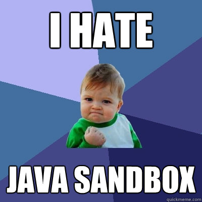 I HATE JAVA SANDBOX  Success Kid