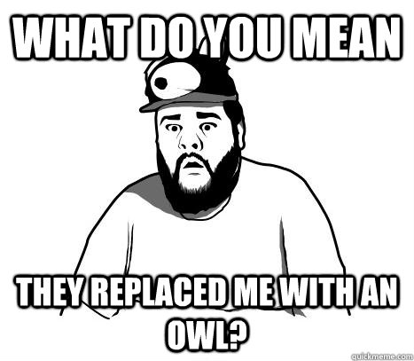 What do you mean They replaced me with an Owl?  Sad Bear Guy