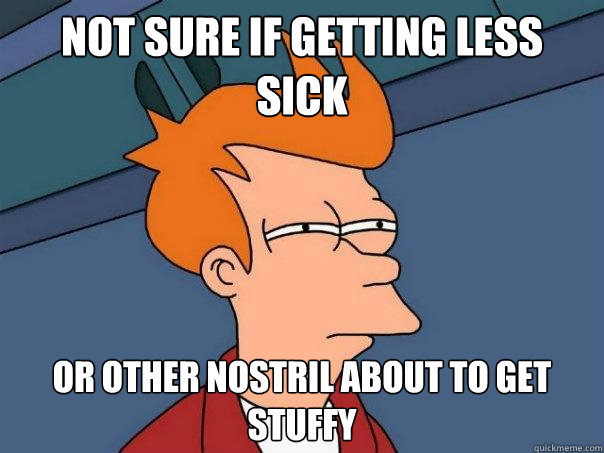 Not sure if getting less sick Or other nostril about to get stuffy  Futurama Fry