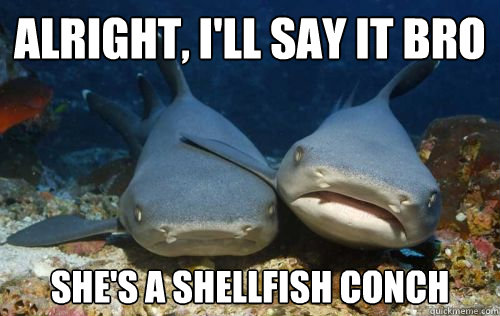 Alright, I'll say it bro
 she's a shellfish conch - Alright, I'll say it bro
 she's a shellfish conch  Compassionate Shark Friend