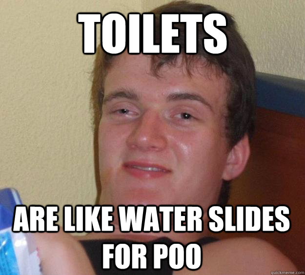 toilets are like water slides for poo  10 Guy