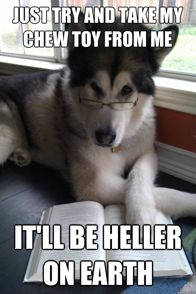 Just try and take my chew toy from me
   It'll be Heller on Earth   Condescending Literary Pun Dog