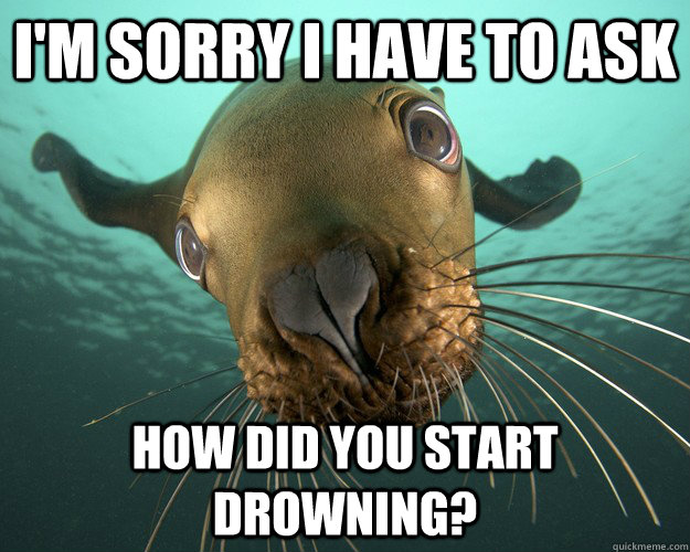 I'm sorry I have to ask How did you start drowning? - I'm sorry I have to ask How did you start drowning?  curious seal