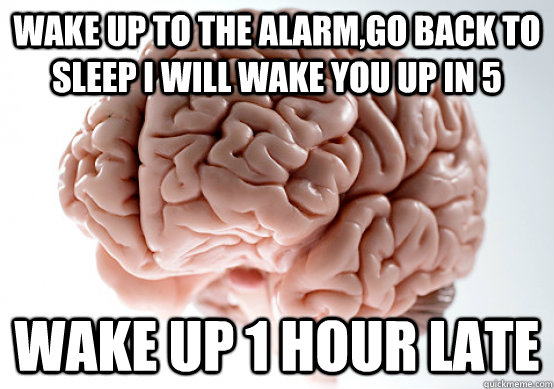 Wake up to the alarm,go back to sleep i will wake you up in 5 Wake up 1 hour late  