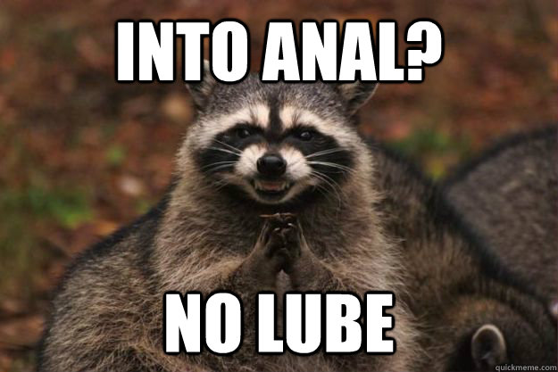 Into anal? No lube   Evil Plotting Raccoon