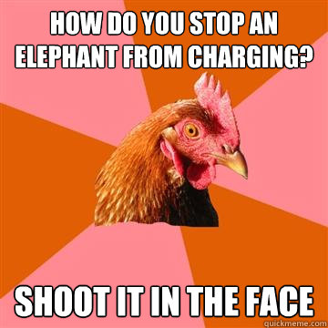 How do you stop an elephant from charging? shoot it in the face  Anti-Joke Chicken