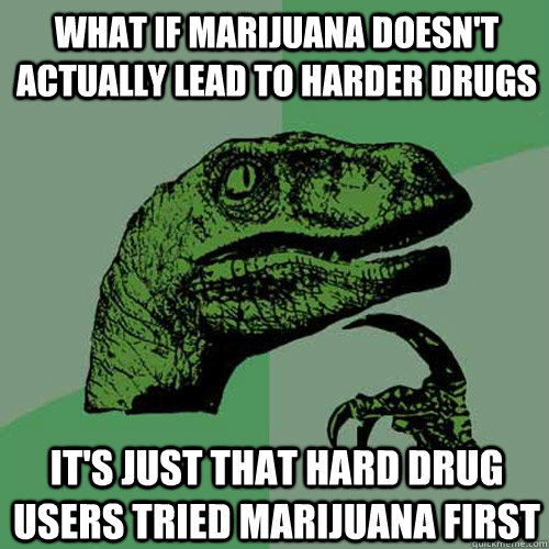 What if marijuana doesn't actually lead to harder drugs it's just that hard drug users tried marijuana first - What if marijuana doesn't actually lead to harder drugs it's just that hard drug users tried marijuana first  Philosoraptor